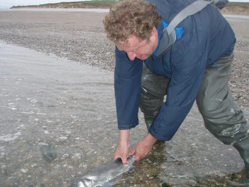 picasion.com_92a974a8c481d66113d4c82de12dd4a8