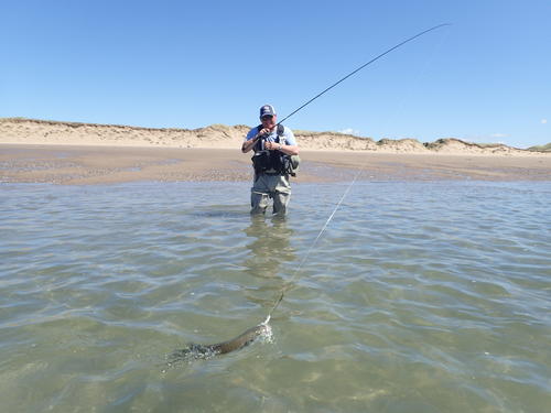 picasion.com_95f650aa3c2bc0abace0761e5b5244bd