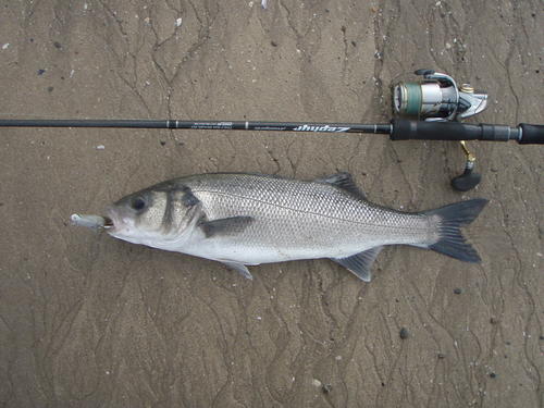 picasion.com_97b344a477cb9171cc2e9531b9c98ef8