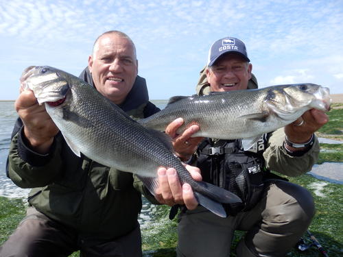 picasion.com_ed0bb8b02f17671b4a747b10f379dded