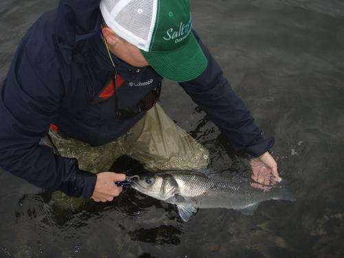 picasion.com_ef3cfd95b0ebafd3e925c7c32c44d324