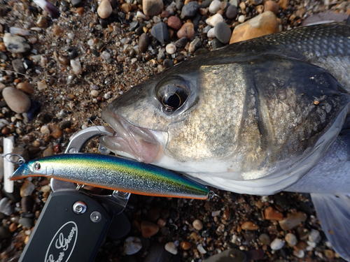 picasion-com_1b356b08e0ffe3802e807bb36976cae7