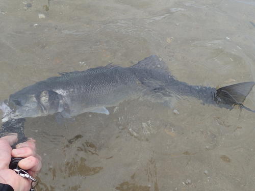 picasion-com_49a1794ccaa3afce8d4d69be61e3d006