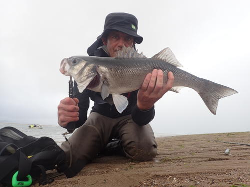 picasion-com_5023d1472bc9fa4769036681cd3c091f