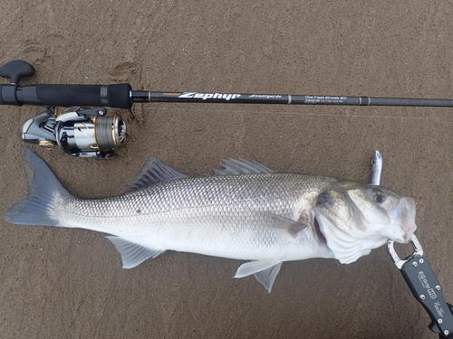 picasion-com_b3c76ce96cfbde4df072e22de7c4cff4