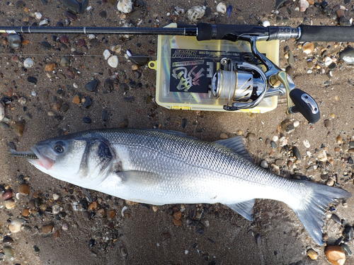 picasion-com_b46cc2f9b51e6fff87621d3f29807aad