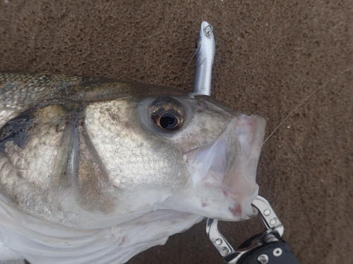 picasion-com_b76cd37e11823d0fd32d8687c020cfe1