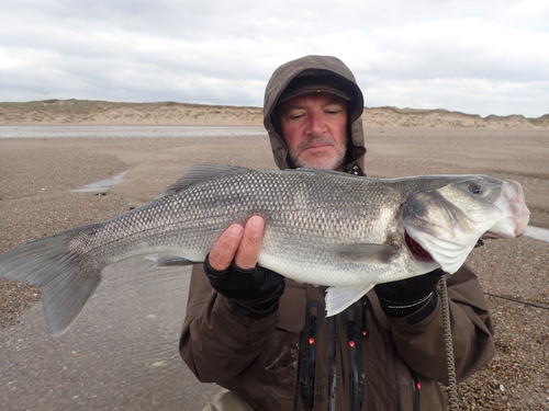 picasion-com_198a0c4722979148c0e0c1d73730b0dc