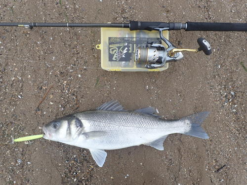 picasion-com_26e0e855c1048558222ada9329d5262d