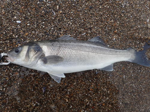 picasion-com_45d9a38d4207c40289f2bf7a792bc1df