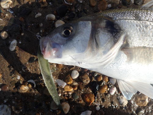 picasion-com_0a3e5033a501bc4c5e8abbce01cae0e4