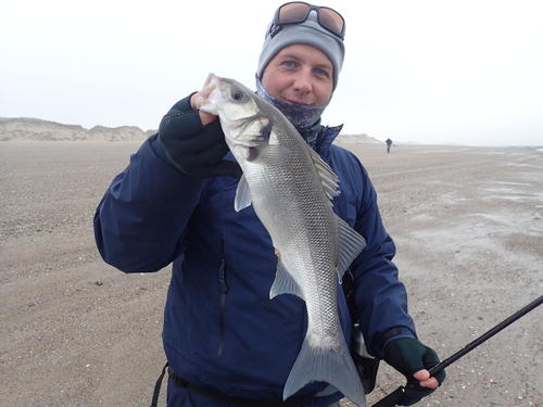 picasion-com_13ddb65e596debb260336659b994215c