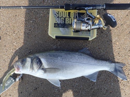 picasion-com_3894231e2459708fa15819dea3387de7