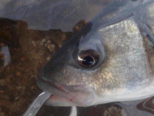 picasion-com_9d5dd8ec774ebfb242845ec394e30faa