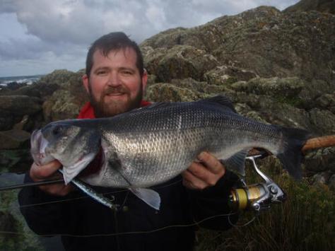 picasion.com_1aefa55962e66308ff7980d729d07dd8