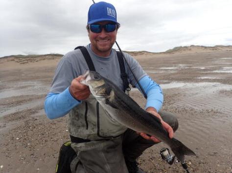 picasion.com_57c6a29fc41062ad5f6cdd9ccc9ce3af