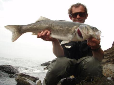 picasion.com_6a3a275827920b7923184d08a383d0db