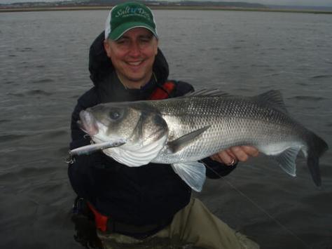 picasion.com_73ec35059ef18d4f8d6dfa933312f981